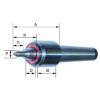 Zentrierspitze mitlaufend 60° Typ 600-20 ged. MK 2 ROEHM