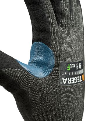 Slika TEGERA Infinity 8814