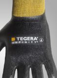 Slika TEGERA Infinity 8804