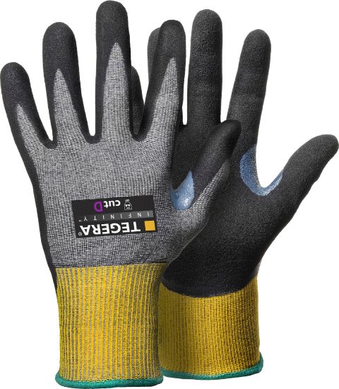 TEGERA Infinity 8807