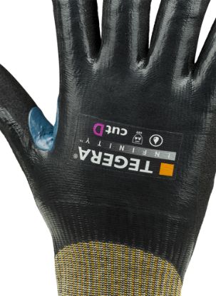 Slika TEGERA Infinity 8812