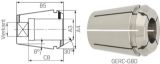 Slika PUŠA VPENJALNA ZA NAVOJNE SVEDRE GERC20-4276E 10,0x8,0mm FAHRION