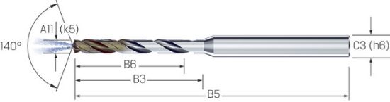 SVEDER VHM D1,00mm L=55/6mm 6xD IKZ CrazyDrill SST-Inox eXedur SNP MIKRON