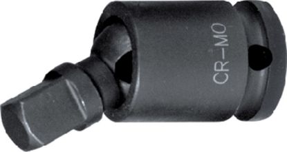 Slika Kardangelenk 1' Vierkantantrieb