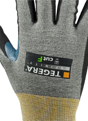 Slika TEGERA Infinity 8815