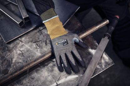 Slika TEGERA Infinity 8815