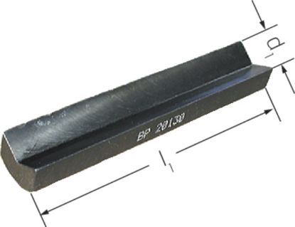 Slika Einlege-Prisma P Type  AP  1485       SRW