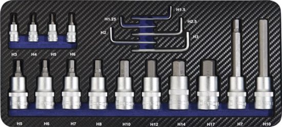 NASTAVKI VIJAČNI NATIČNI 1/4" in 1/2" INBUS 1,25-17mm v 19-delni garnituri