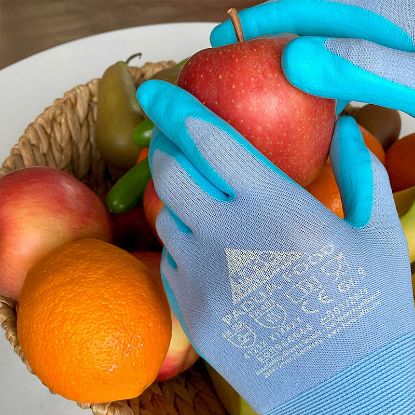 Slika Rokavice montažne, PADUA FOOD, HASE-508190