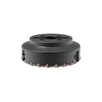 Slika Glava rezkalna  AFF40-LN12-LN15