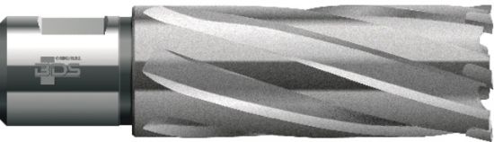 Kernbohrer HKL, HM O 12 mm Schnitttiefe 55 mm   - BDS -