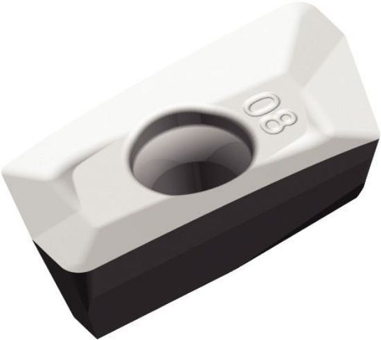 PL.XDCT 110424PDFR-ALP WN25PM