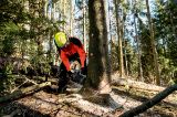 Slika BATERIJSKA VERIŽNA ŽAGA MS 36-18 LTX BL 40