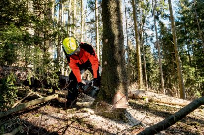 Slika BATERIJSKA VERIŽNA ŽAGA MS 36-18 LTX BL 40
