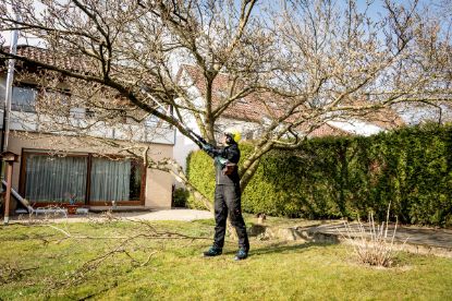 Slika PRIKLJUČEK ZA VISOKO OBREZOVANJE METABO MA-MS 25
