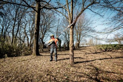 Slika POGON VRTNEGA MULTIFUNKCIJSKEGA ORODJA MA 36-18 LTX BL Q