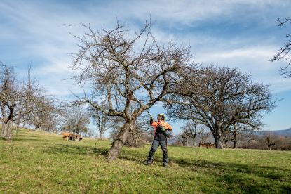 Slika PRIKLJUČEK ZA VISOKO OBREZOVANJE METABO MA-MS 25