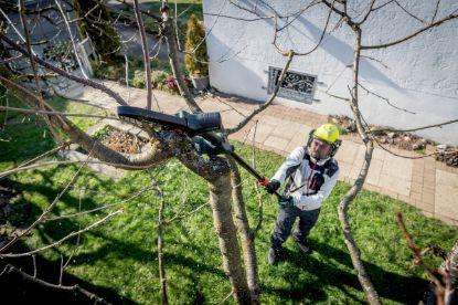 Slika BATERIJSKA VERIŽNA ŽAGA MS 18 LTX 15 SET