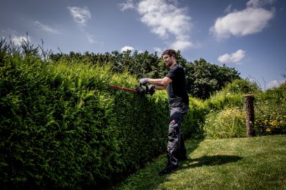 Slika BATERIJSKE VRTNE ŠKARJE HS 18 LTX 65