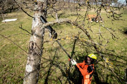Slika PRIKLJUČEK ZA VISOKO OBREZOVANJE METABO MA-MS 25