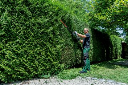 Slika BATERIJSKE VRTNE ŠKARJE HS 18 LTX BL 55