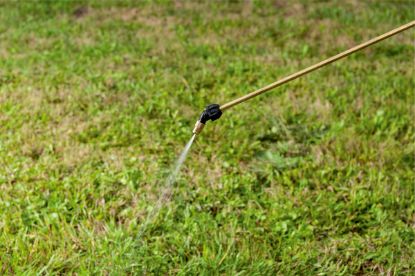 Slika BATERIJSKI ŠKROPILNIK RSG 18 LTX 15