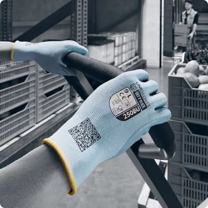 Slika Rokavice delovne iz poliestra in prevleke na dlani iz nitrila, Unigloves, 250BU