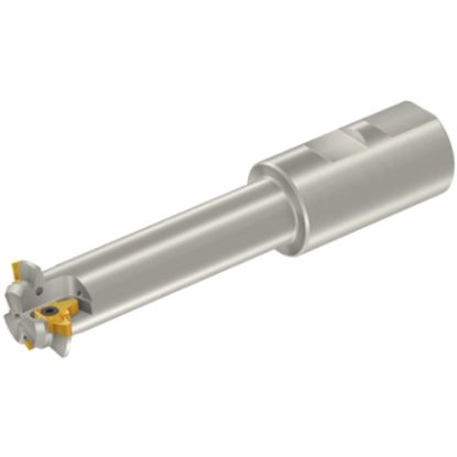 Slika Rezkar palični navojni Weldon za ploščice tipa L