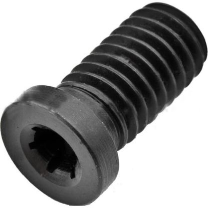 Slika VIJAK M6x1 torx20 L=13,5mm 554.252