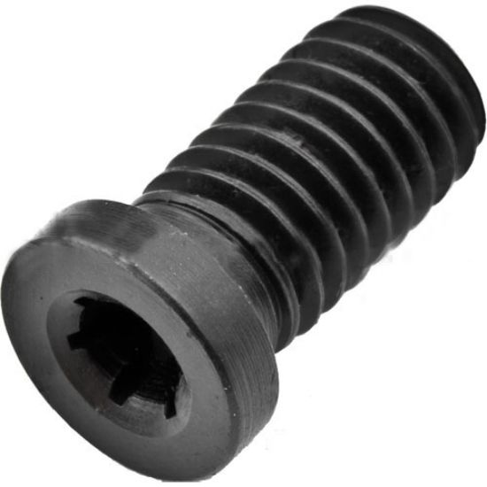 VIJAK M6x1 torx20 L=13,5mm 554.252