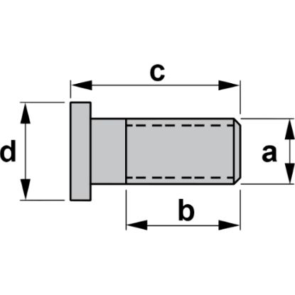 Slika VIJAK M6x1 torx20 L=13,5mm 554.252