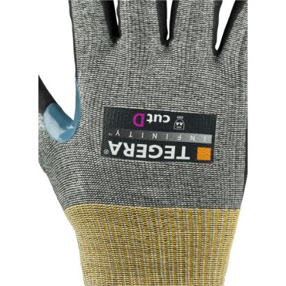 Slika TEGERA Infinity 8807R