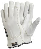 Slika TEGERA 255, CUT C