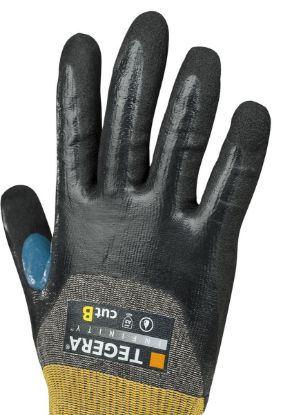 Slika TEGERA Infinity 8806