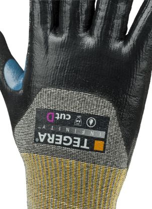 Slika TEGERA Infinity 8808