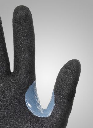 Slika TEGERA Infinity 8812