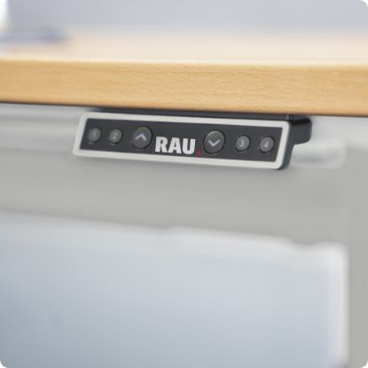 Slika Električna dvižna pisalna miza z ploščo iz bukovega lesa, svetlo siva