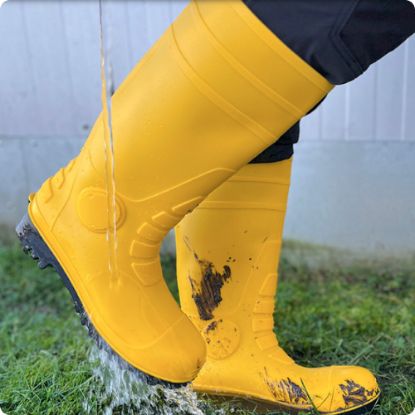 Slika Delovni škorenj s kapico, PVC, rumen, Wiesmoor Yellow, 34 cm, S5